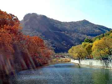 管家婆黑白马报图库，神墓后传